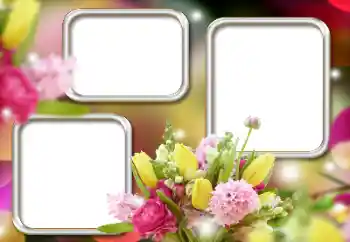 Foto-effetti della categoria Cornici da donna № 195263