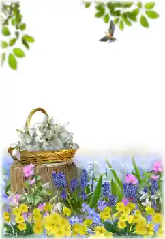 Foto-effetti della categoria Cornici da donna № 195329