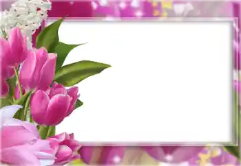 Foto-effetti della categoria Cornici da donna № 196363