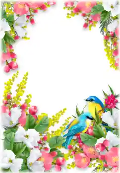 Foto-effetti della categoria Cornici da donna № 196504