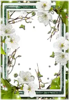 Foto-effetti della categoria Cornici da donna № 196595