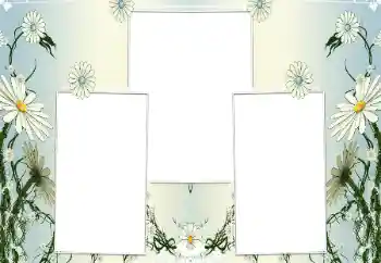 Foto-effetti della categoria Cornici da donna № 196602