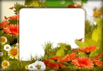 Foto-effetti della categoria Cornici da donna № 196615