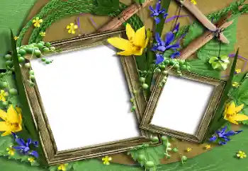 Foto-effetti della categoria Cornici da donna № 196631