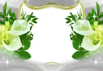 Foto-effetti della categoria Cornici da donna № 197643