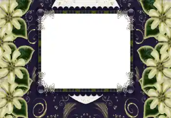 Foto-effetti della categoria Cornici da donna № 197644