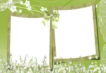 Foto-effetti della categoria Cornici da donna № 197648