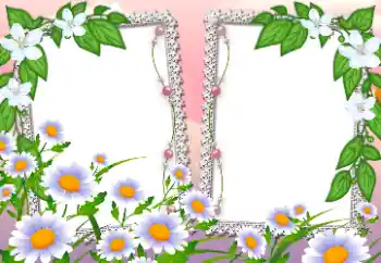 Foto-effetti della categoria Cornici da donna № 198785