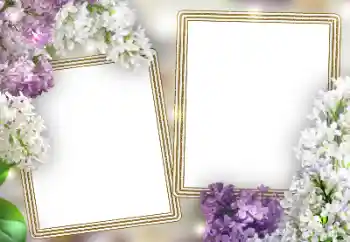 Foto-effetti della categoria Cornici da donna № 198787