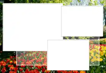 Foto-effetti della categoria Cornici da donna № 198891