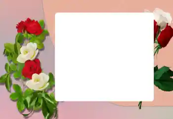 Foto-effetti della categoria Cornici da donna № 198906