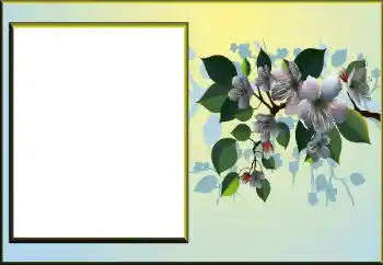 Foto-effetti della categoria Cornici da donna № 198924