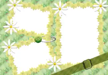 Foto-effetti della categoria Cornici da donna № 198941