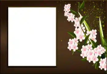 Foto-effetti della categoria Cornici da donna № 198973