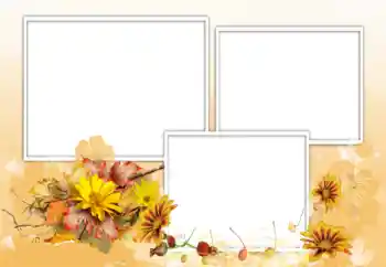 Foto-effetti della categoria Cornici da donna № 198975