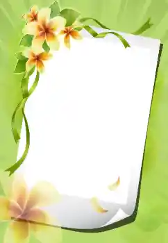 Foto-effetti della categoria Cornici da donna № 199012