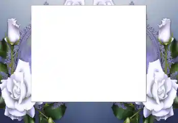 Foto-effetti della categoria Cornici da donna № 199032