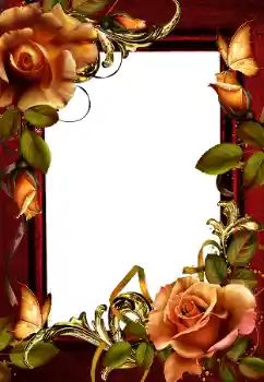 Foto-effetti della categoria Cornici da donna № 203259