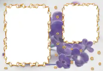 Foto-effetti della categoria Cornici da donna № 203262