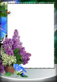 Foto-effetti della categoria Cornici da donna № 203274