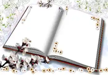 Foto-effetti della categoria Cornici da donna № 203311