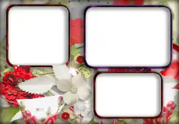 Foto-effetti della categoria Cornici da donna № 203315