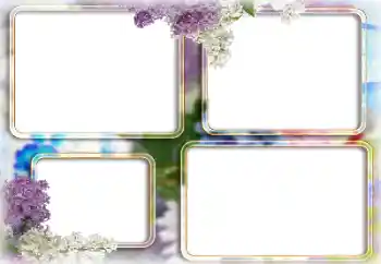 Foto-effetti della categoria Cornici da donna № 205361