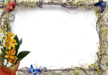 Foto-effetti della categoria Cornici da donna № 205374