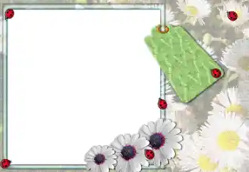 Foto-effetti della categoria Cornici da donna № 205379