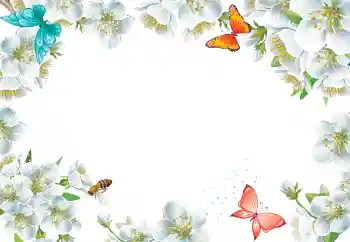 Foto-effetti della categoria Cornici da donna № 205423