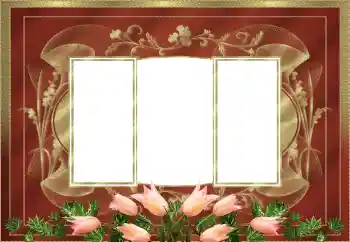 Foto-effetti della categoria Cornici da donna № 205525