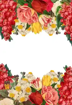 Foto-effetti della categoria Cornici da donna № 205744