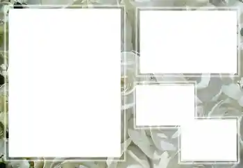 Foto-effetti della categoria Cornici da donna № 205789