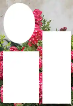 Foto-effetti della categoria Cornici da donna № 205800