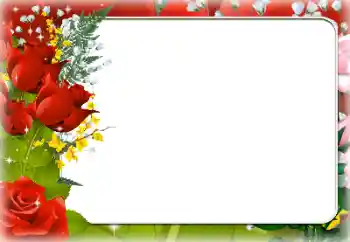 Foto-effetti della categoria Cornici da donna № 205834