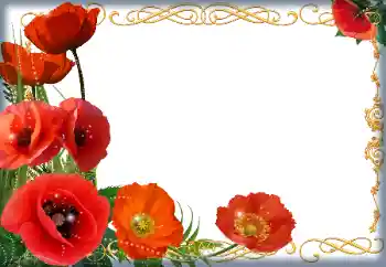 Foto-effetti della categoria Cornici da donna № 205838