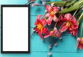 Foto-effetti della categoria Cornici da donna № 206174