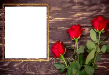 Foto-effetti della categoria Cornici da donna № 206175