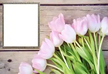 Foto-effetti della categoria Cornici da donna № 206178