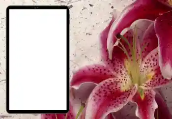 Foto-effetti della categoria Cornici da donna № 206184