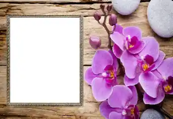 Foto-effetti della categoria Cornici da donna № 206185