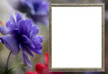 Foto-effetti della categoria Cornici da donna № 206189