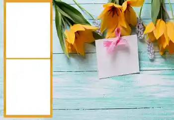 Foto-effetti della categoria Cornici da donna № 206196