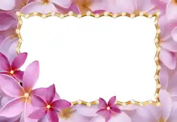 Foto-effetti della categoria Cornici da donna № 24214 Foto-effetti della categoria Cornici da donna № 24214