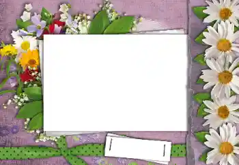 Foto-effetti della categoria Cornici da donna № 24462 Foto-effetti della categoria Cornici da donna № 24462