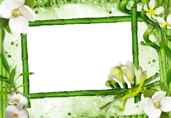 Foto-effetti della categoria Cornici da donna № 24470 Foto-effetti della categoria Cornici da donna № 24470