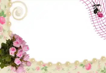 Foto-effetti della categoria Cornici da donna № 24536