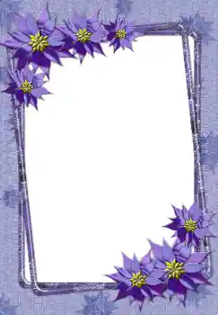 Foto-effetti della categoria Cornici da donna № 24551