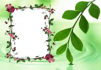 Foto-effetti della categoria Cornici da donna № 24558