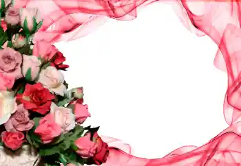 Foto-effetti della categoria Cornici da donna № 26416